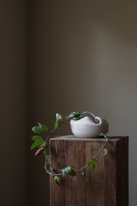 Sculptural ceramic bowl in pristine white, featuring an organic, fluid form with a distinctive fold dividing it into asymmetrical halves. Perfect as a centerpiece or decor accent, this bowl embodies modern artistry and timeless design.